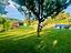 Immagine 25