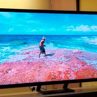 TV SAMSUNG 55 GARANZIA 2027 