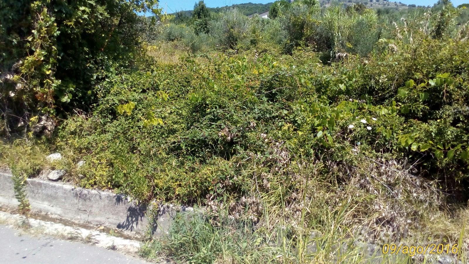Terreno agricolo - Vista 6