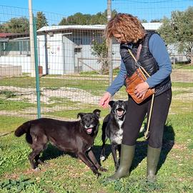 Crik e Crok fratelli di sventura
