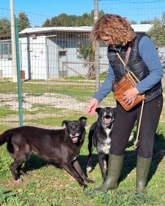 Crik e Crok fratelli di sventura