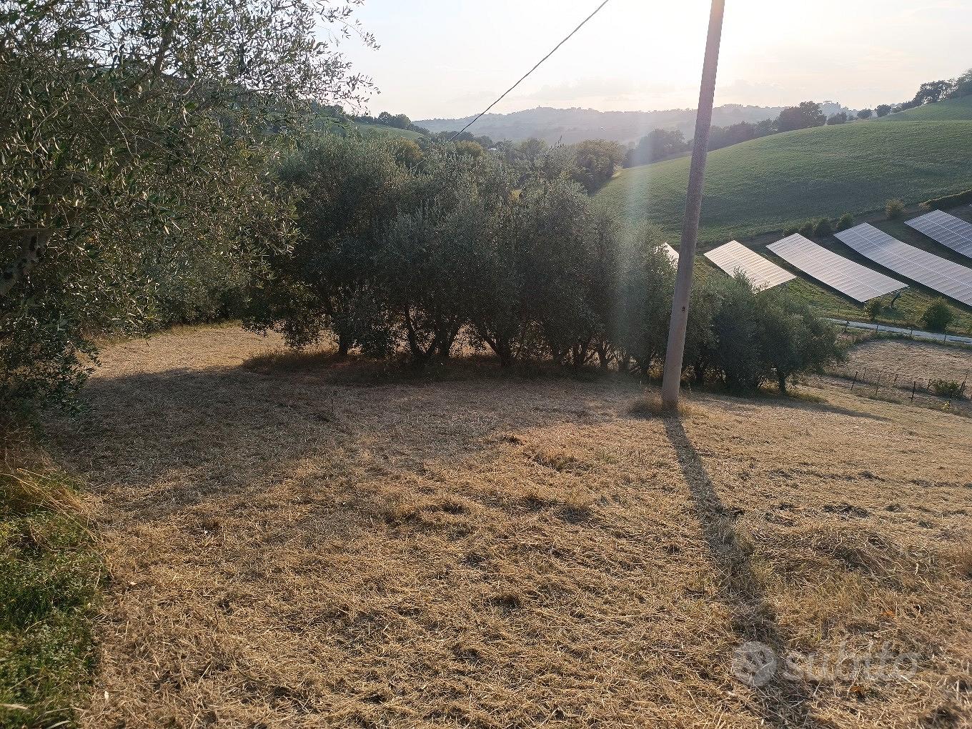 Terreno Agricolo Loc.Pacigliano - Vista 2