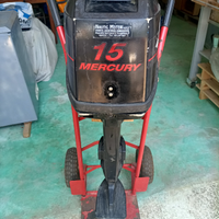 Motore fuoribordo Mercury 15 cv