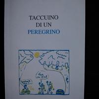 Taccuino di un peregrino, Cammino di Santiago