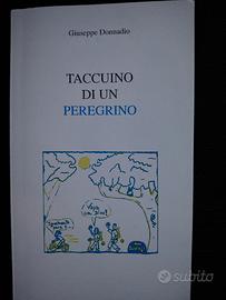 Taccuino di un peregrino, Cammino di Santiago