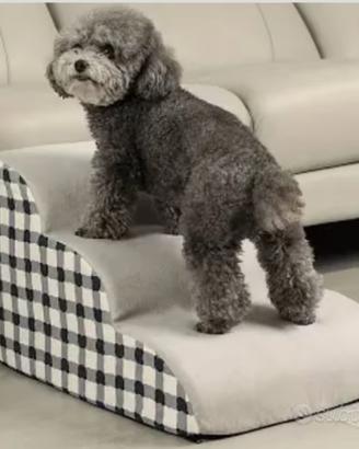 Rampa cani