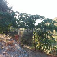 Terreno agricolo scaletta superiore