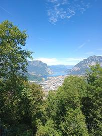 Bosco e prato Monte Magnodeno - Lecco