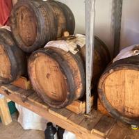 Due batteri di Aceto Balsamico