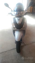 shhonda