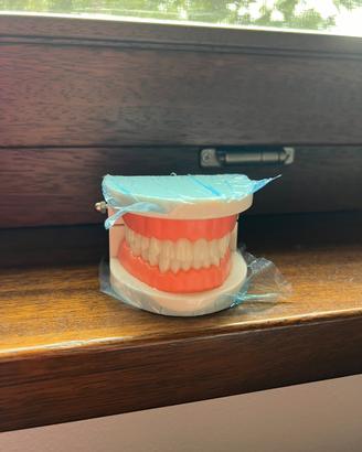 Dentiera finta da esposizione