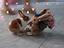 Immagine 1