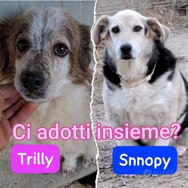 Trilly e snoopy 11 anni