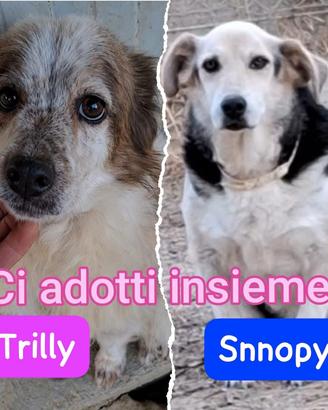 Trilly e snoopy 11 anni