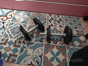 valigetta da 20 kg più dischi da 5 kg