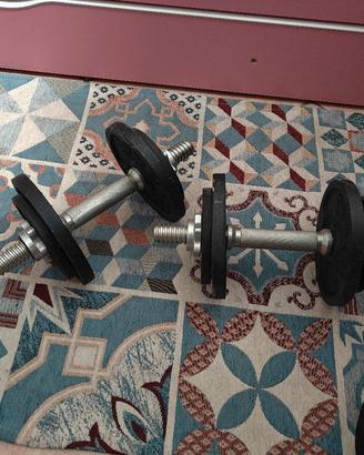 valigetta da 20 kg più dischi da 5 kg