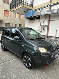 Panda hybrid 1.0