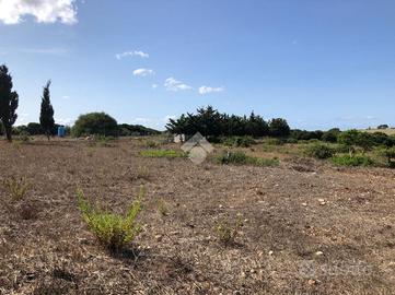 TER. AGRICOLO A SASSARI