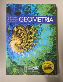 Libro geometria