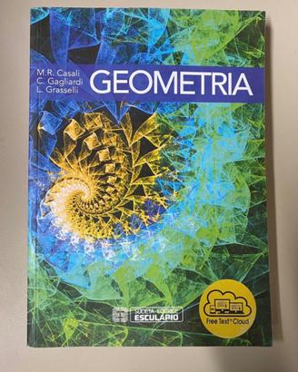 Libro geometria