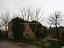 Immagine 2