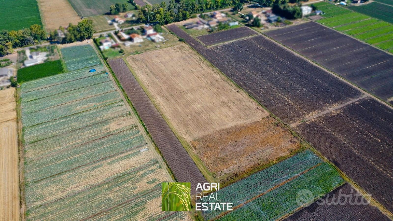 Terreno agricolo di 3 ettari pianeggiante - Vista 2