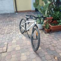 Bici da ragazzo