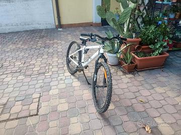 Bici da ragazzo