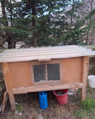 Gabbia pervconigli du campagna