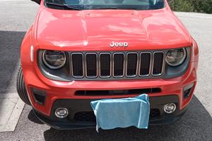  Jeep Renegade 1.6 Multijet 130 CV
