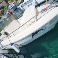 Fiart Marea 20