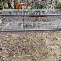 gabbia per conigli e piccoli animali 