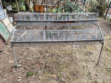 gabbia per conigli e piccoli animali 