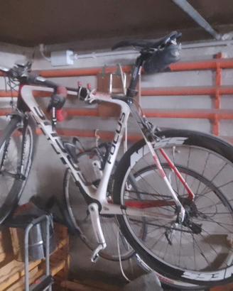 FOCUS IZALCO carbonio Talia L. Va bene anche per M