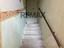 Immagine 13