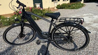 Bicicletta elettrica