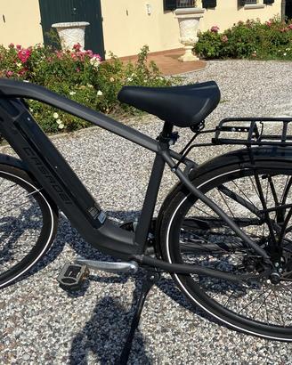Bicicletta elettrica