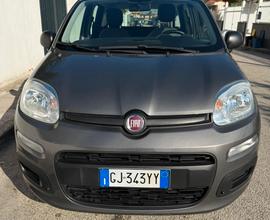 Fiat Panda 1.0 firefly hybrid s *ADATTA NEOPATENTA