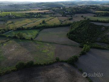 Terreni Seminativi nel cuore del Chianti Senese