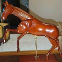 Cavallo modello per disegnare