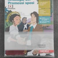 antologia dei promessi sposi 
