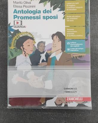 antologia dei promessi sposi 