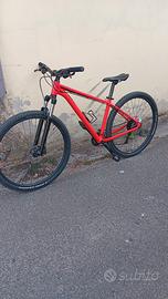Cannondale (trattabile)