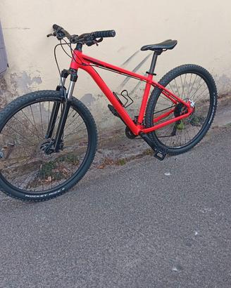 Cannondale (trattabile)
