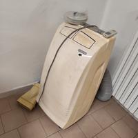 pinguino condizionatore 