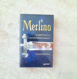 Merlino, il Destino di un Giovane Mago
