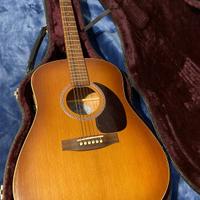 Chitarra Seagull entourage rustic qi
