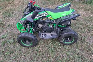 mini quad