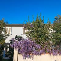 Appartameto con terrazza san vincenzo