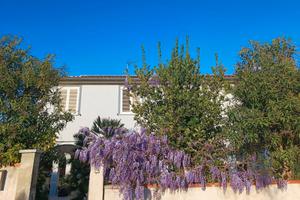 Appartameto con terrazza san vincenzo